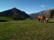 Da Valpiana di Serina breve, ma appagante salita al MONTE CASTELLO (1474 m.) il giorno di Pasqua, 8 aprile 2012 - FOTOGALLERY